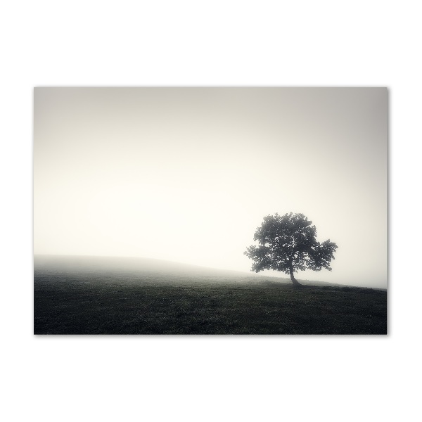 Üvegfotó Lone tree