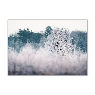 Üvegfotó Fák télen