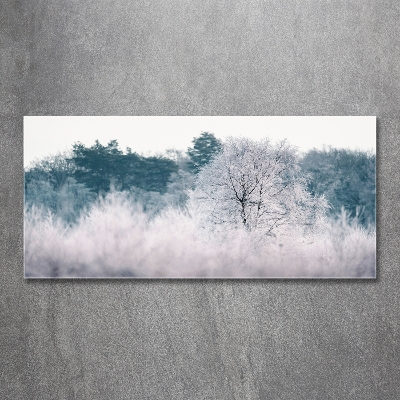 Üvegfotó Fák télen