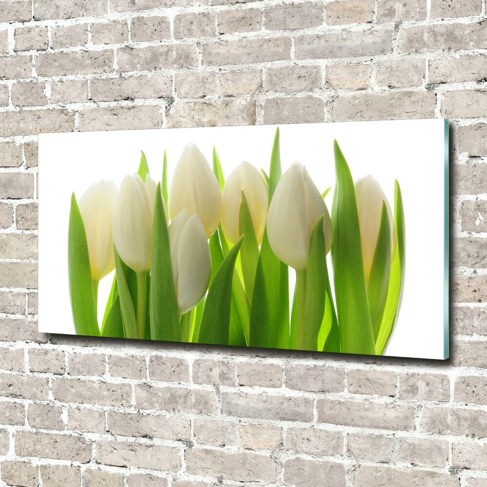 Egyedi üvegkép Tulipán