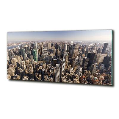Üvegkép falra New york-i járat madár