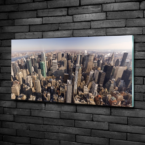 Üvegkép falra New york-i járat madár