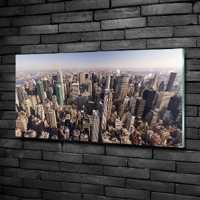 Üvegkép falra New york-i járat madár