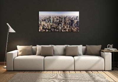 Üvegkép falra New york-i járat madár