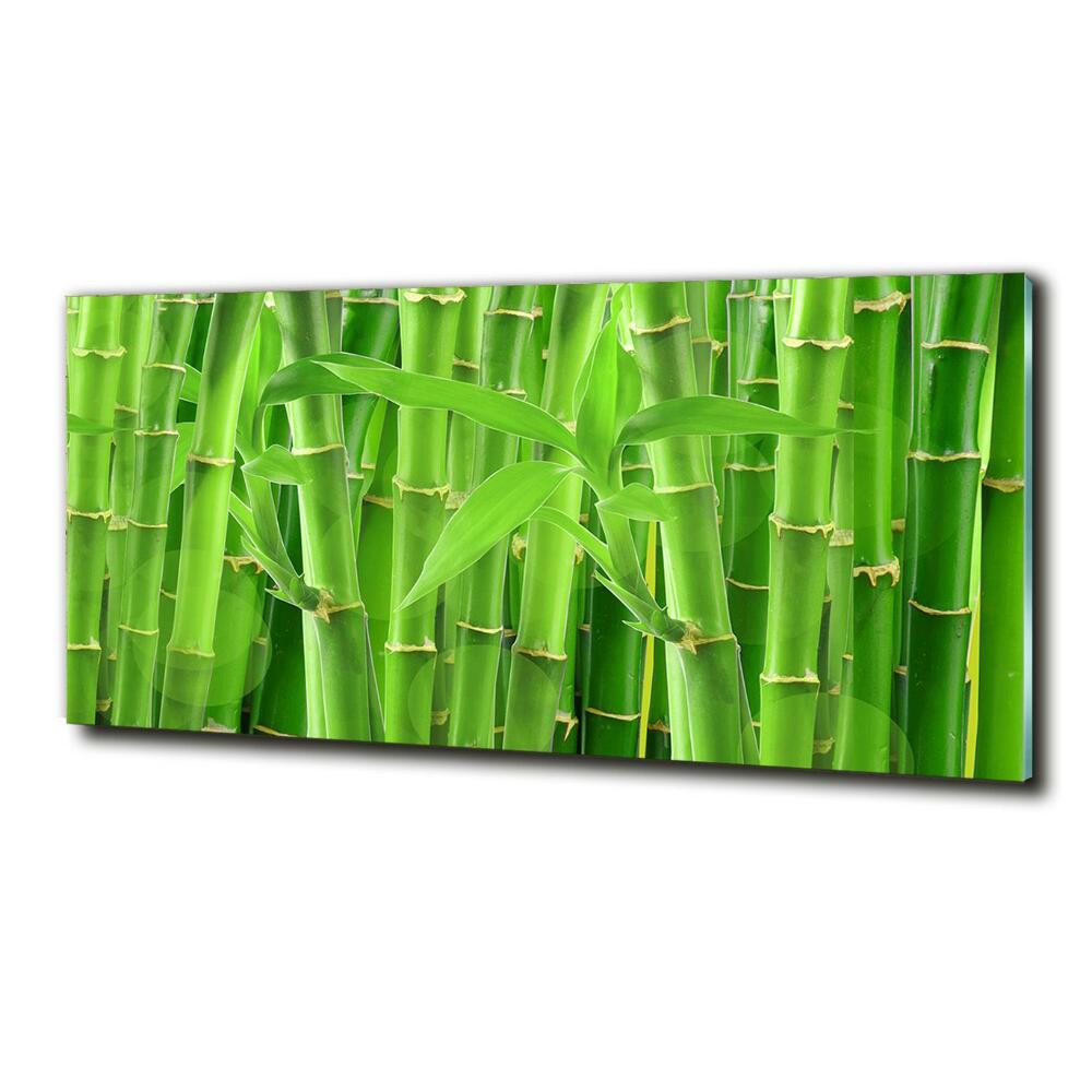 Egyedi üvegkép Bambuszok
