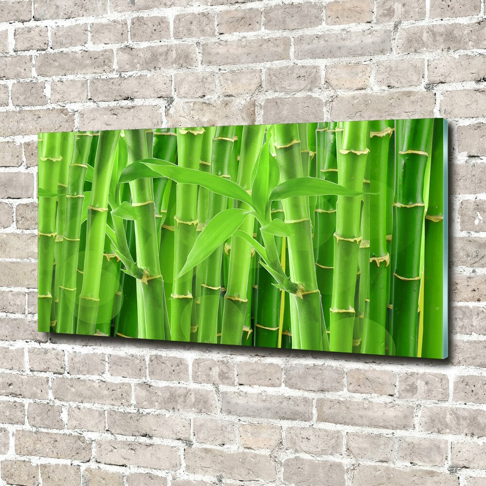 Egyedi üvegkép Bambuszok