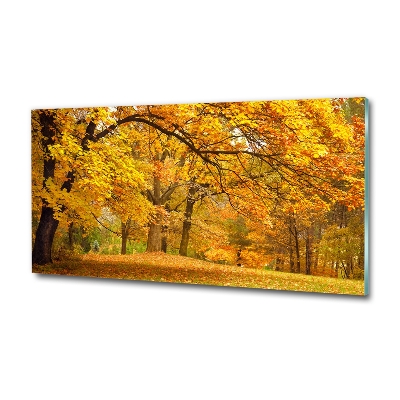 Üvegfotó Ősz a parkban