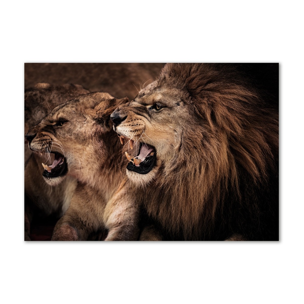 Üvegkép Ordító oroszlánok