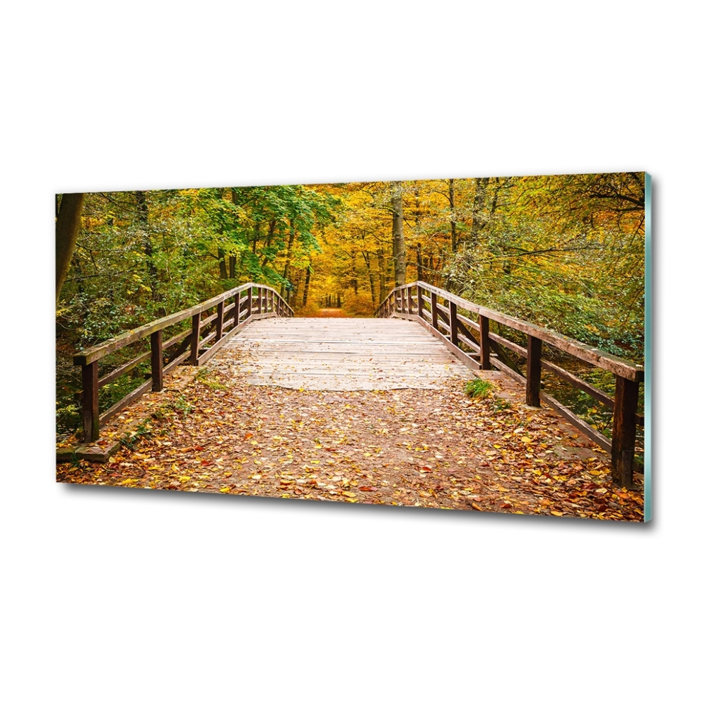 Üvegfotó Híd az őszi erdőben