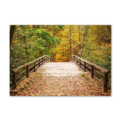 Üvegfotó Híd az őszi erdőben