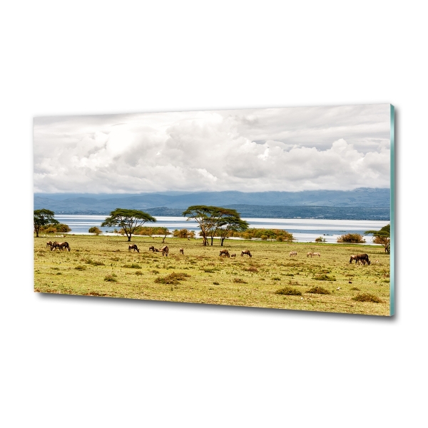 Üvegfotó Lake naivasha