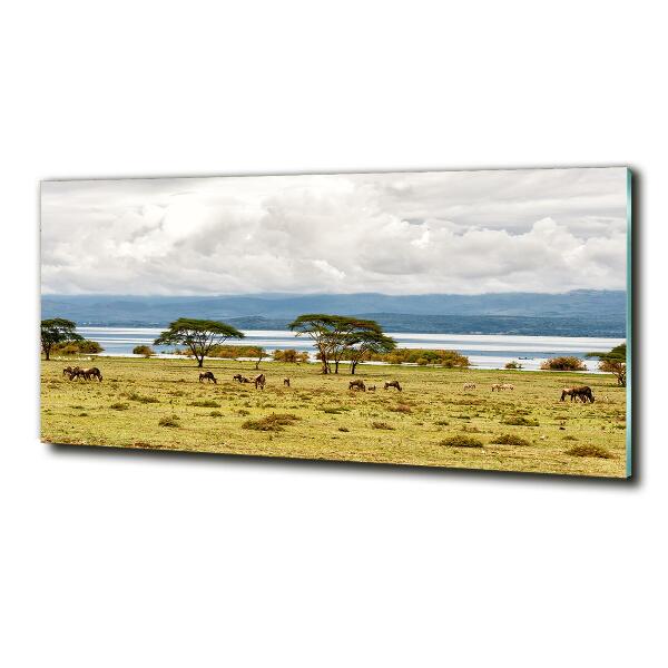 Üvegfotó Lake naivasha