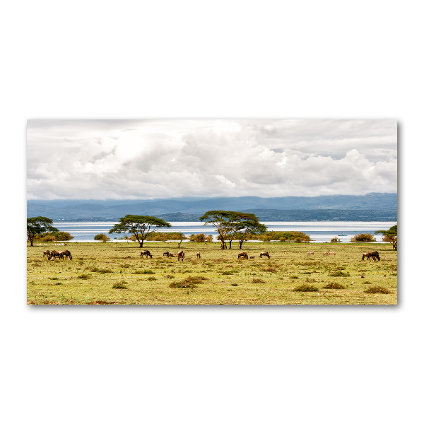 Üvegfotó Lake naivasha