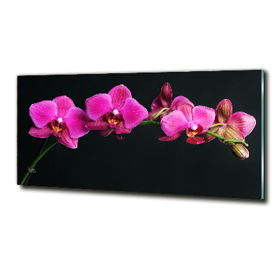 Egyedi üvegkép Orchidea