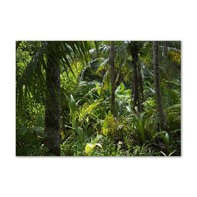 Egyedi üvegkép Trópusi erdő
