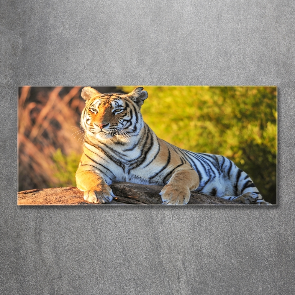 Üvegkép Portré egy tigris