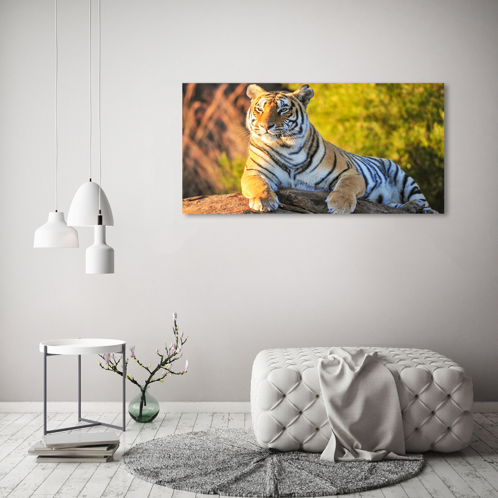 Üvegkép Portré egy tigris