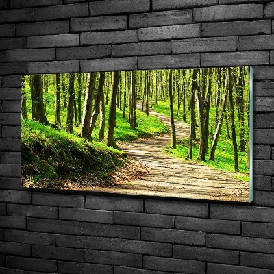 Üvegfotó Az út az erdőben