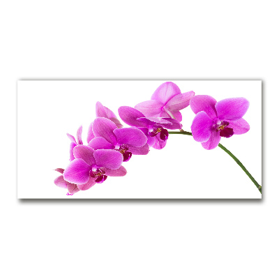 Egyedi üvegkép Rózsaszín orchidea