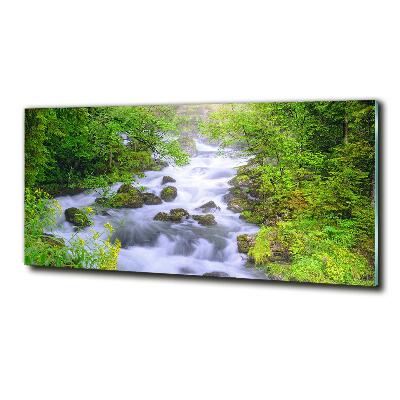 Üvegfotó Hegyi folyó