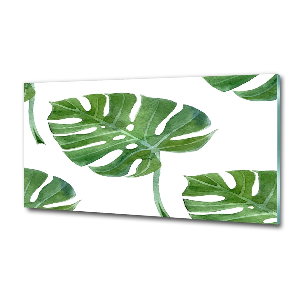 Fali üvegkép Monstera