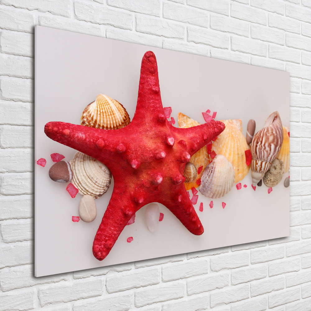 Üvegkép Starfish és kagylók