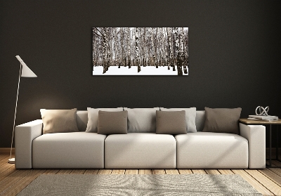 Üvegfotó Nyírfák télen