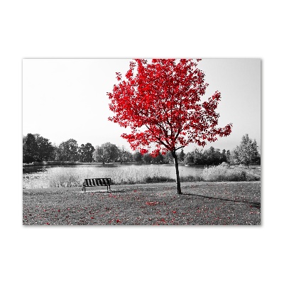 Üvegfotó Piros fa