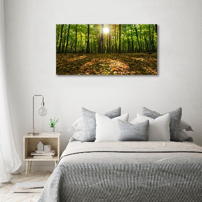 Üvegfotó Erdő