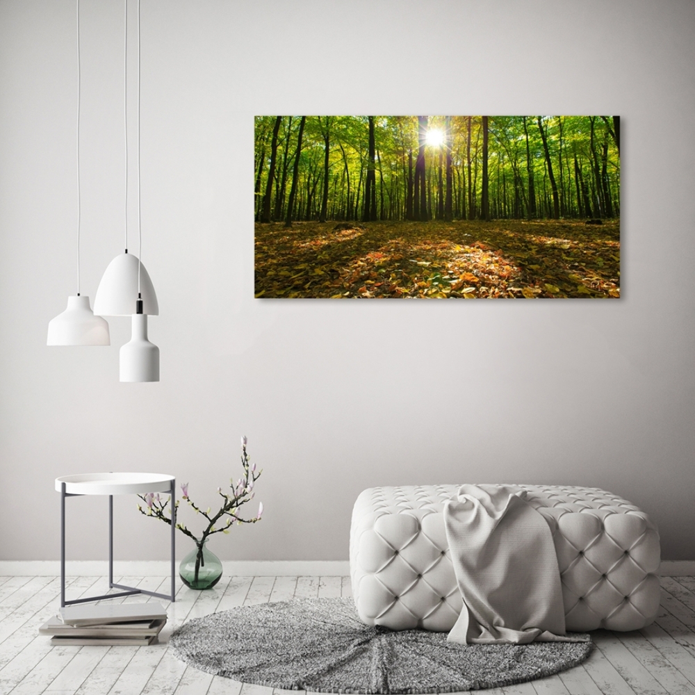Üvegfotó Erdő