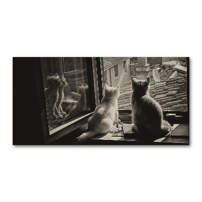 Üvegkép Macskák az ablakban