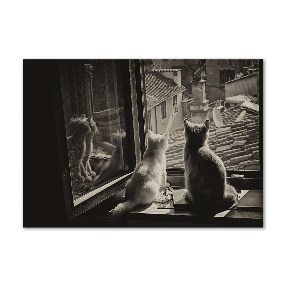 Üvegkép Macskák az ablakban