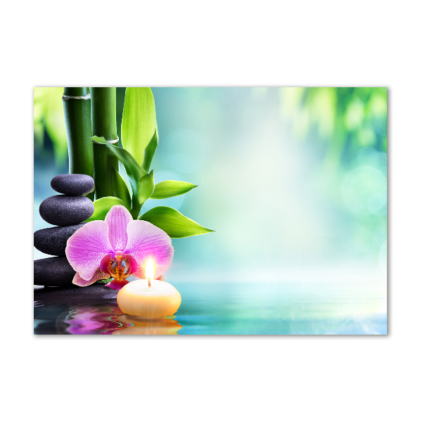 Egyedi üvegkép Bambusz orchidea
