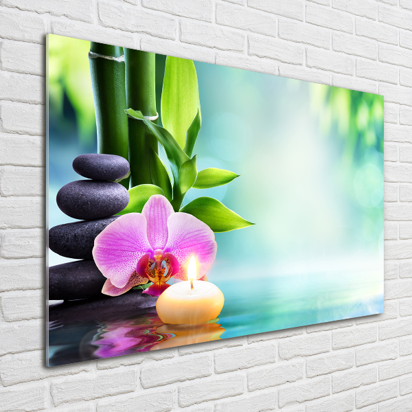 Egyedi üvegkép Bambusz orchidea