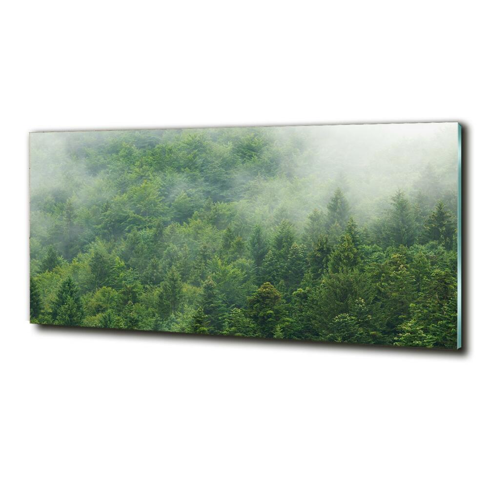 Egyedi üvegkép Rejtélyes erdő