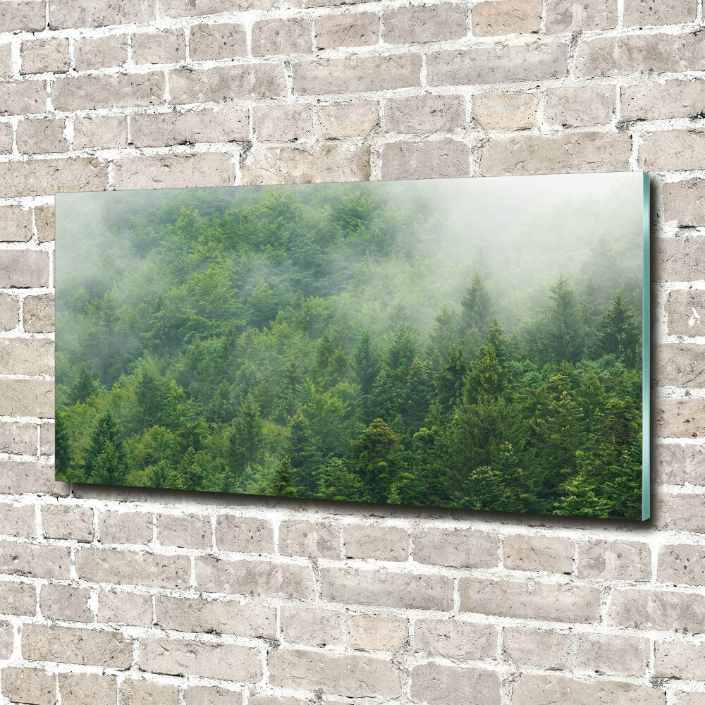 Egyedi üvegkép Rejtélyes erdő
