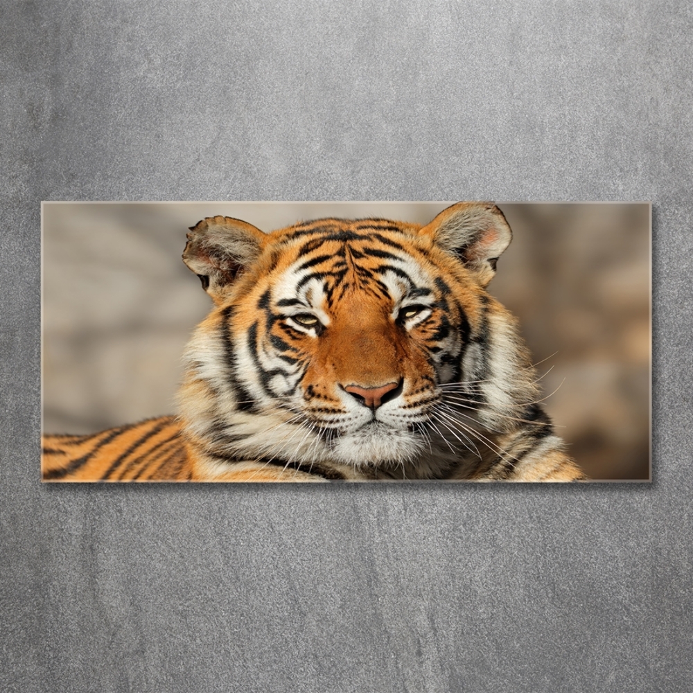 Üvegkép Bengáli tigris