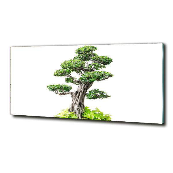 Egyedi üvegkép Bonsai fa