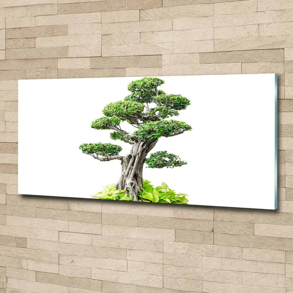 Egyedi üvegkép Bonsai fa