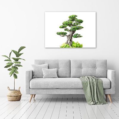 Egyedi üvegkép Bonsai fa