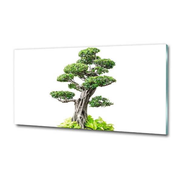 Egyedi üvegkép Bonsai fa