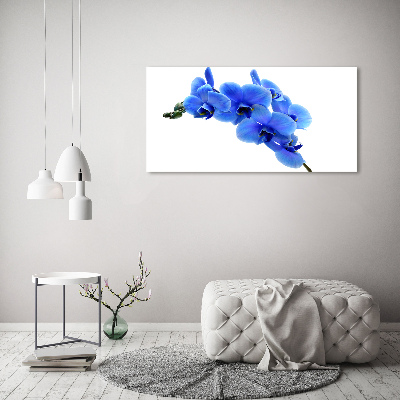 Egyedi üvegkép Kék orchidea