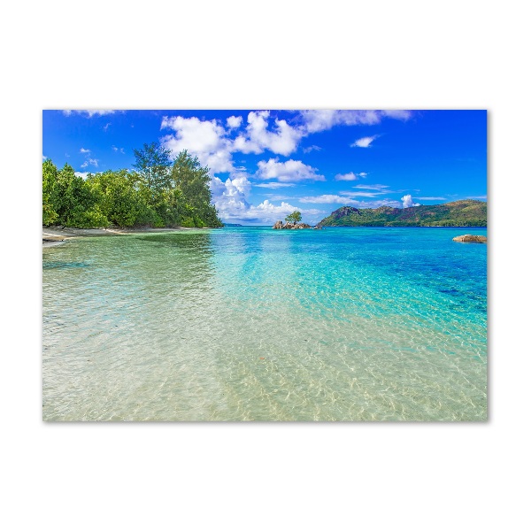 Üvegfotó Strand seychelles