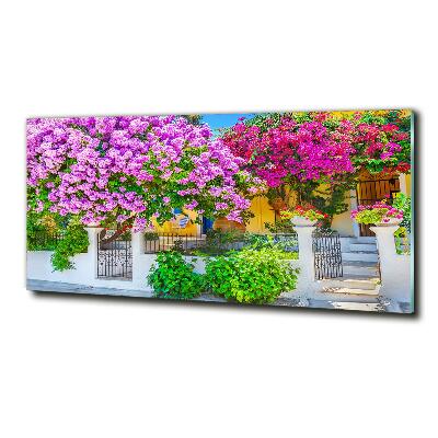 Egyedi üvegkép Ház bougainvillea