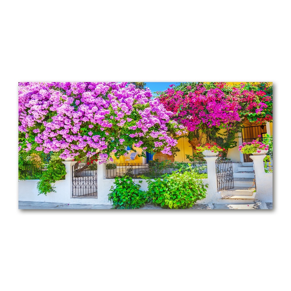 Egyedi üvegkép Ház bougainvillea