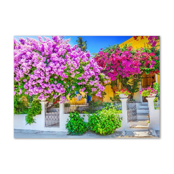 Egyedi üvegkép Ház bougainvillea