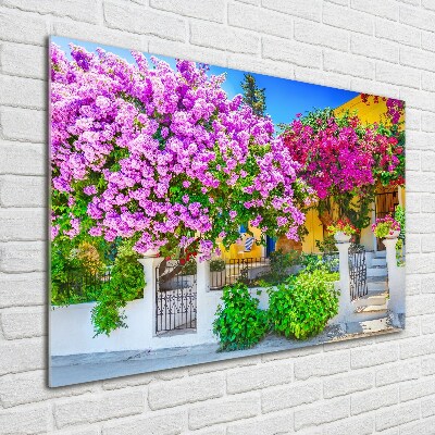 Egyedi üvegkép Ház bougainvillea