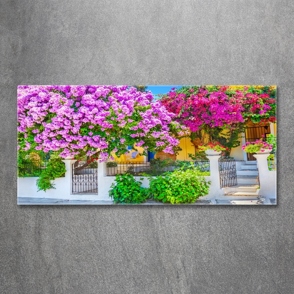 Egyedi üvegkép Ház bougainvillea