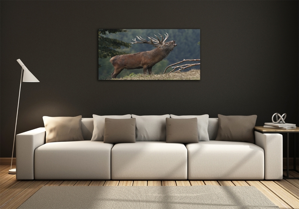 Üvegkép Deer a hegyen