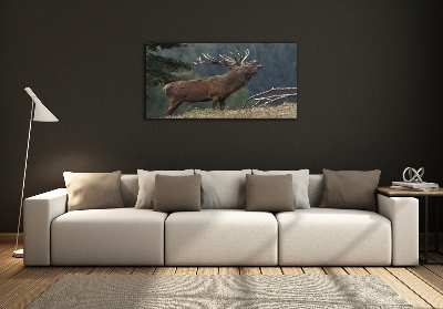 Üvegkép Deer a hegyen
